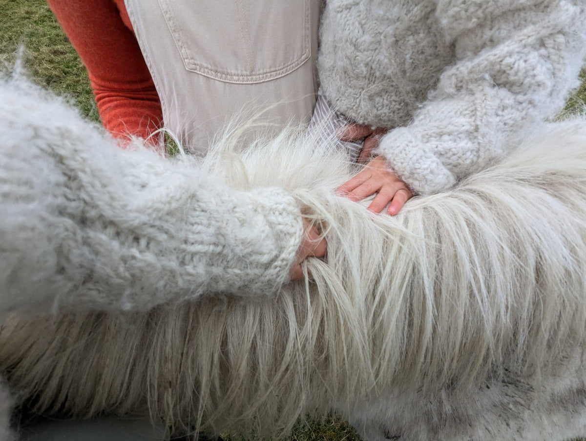 Organic Skincare Gift Cards Earthbound Organics