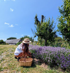 earthbound organics lavender