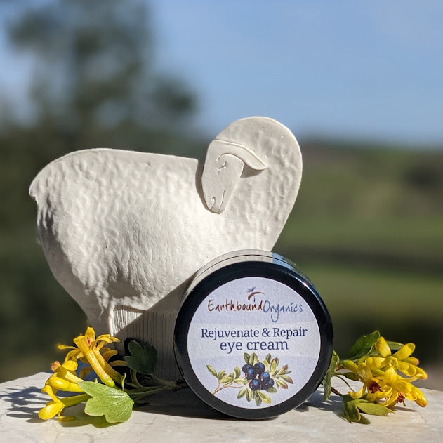 Rejuvenate and repair eye cream