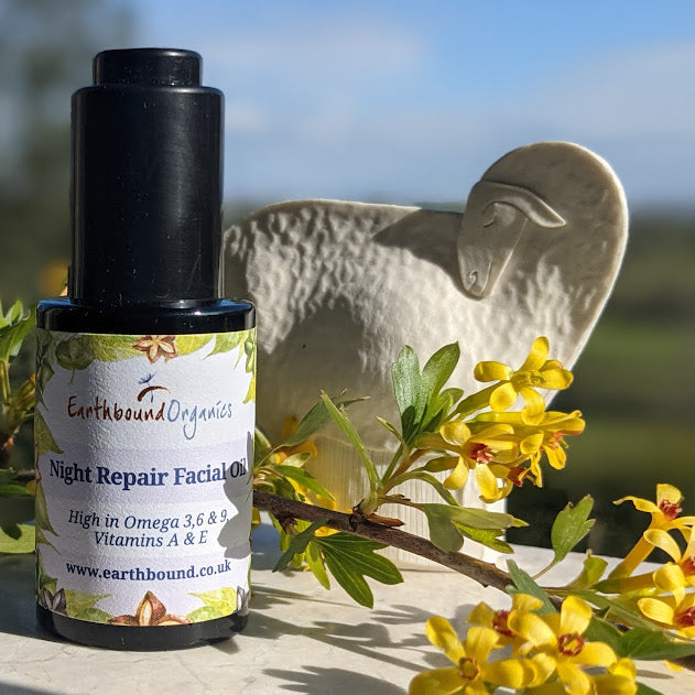 Night Repair Facial oil