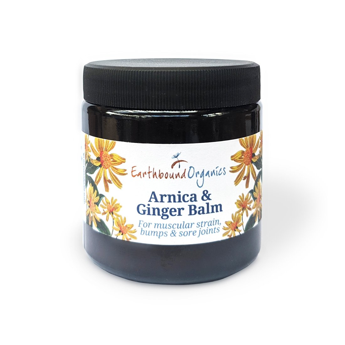 Arnica & ginger balm LARGE (120ml)