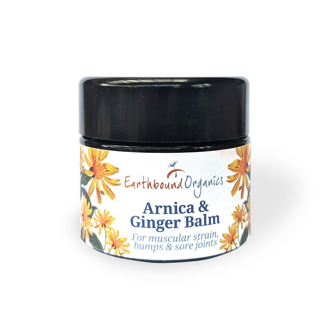 Arnica and Ginger Balm (50ml)